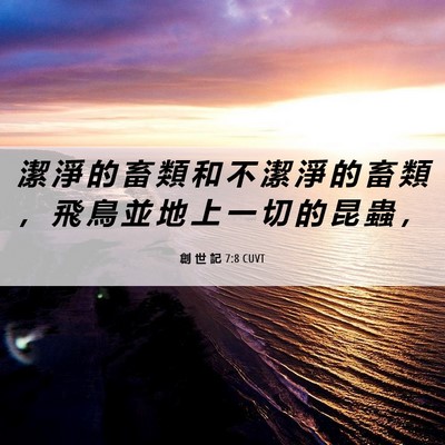 Picture 06 - 創 世 記 7:8 CUVT - 潔 淨 的 畜 類 和 不 潔 淨 的 畜 類 - Bible Verse Picture