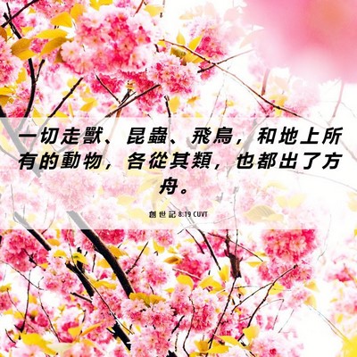 Picture 06 - 創 世 記 8:19 CUVT - 一 切 走 獸 、 昆 蟲 、 飛 鳥 ， 和 - Bible Verse Picture