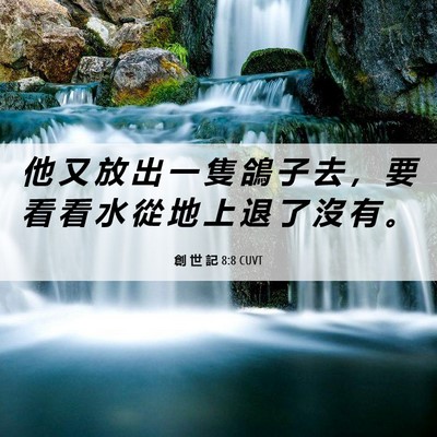 Picture 06 - 創 世 記 8:8 CUVT - 他 又 放 出 一 隻 鴿 子 去 ， 要 看 - Bible Verse Picture