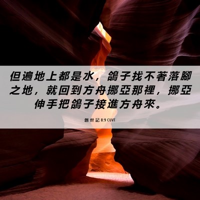Picture 06 - 創 世 記 8:9 CUVT - 但 遍 地 上 都 是 水 ， 鴿 子 找 不 - Bible Verse Picture