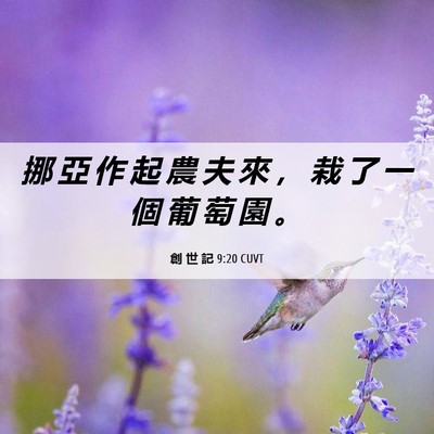 Picture 06 - 創 世 記 9:20 CUVT - 挪 亞 作 起 農 夫 來 ， 栽 了 一 個 - Bible Verse Picture