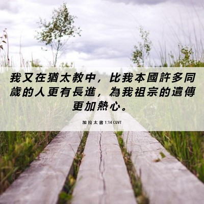 Picture 06 - 加 拉 太 書 1:14 CUVT - 我 又 在 猶 太 教 中 ， 比 我 本 國 - Bible Verse Picture