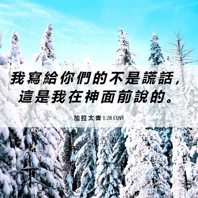Picture 06 - 加 拉 太 書 1:20 CUVT - 我 寫 給 你 們 的 不 是 謊 話 ， 這 - Bible Verse Picture