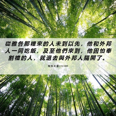 Picture 06 - 加 拉 太 書 2:12 CUVT - 從 雅 各 那 裡 來 的 人 未 到 以 先 - Bible Verse Picture