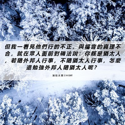 Picture 06 - 加 拉 太 書 2:14 CUVT - 但 我 一 看 見 他 們 行 的 不 正 ， - Bible Verse Picture