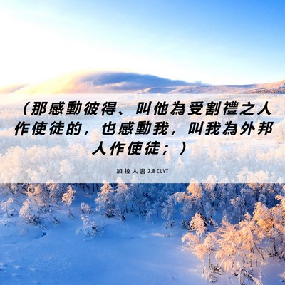 Picture 06 - 加 拉 太 書 2:8 CUVT - （ 那 感 動 彼 得 、 叫 他 為 受 割 - Bible Verse Picture