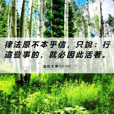 Picture 06 - 加 拉 太 書 3:12 CUVT - 律 法 原 不 本 乎 信 ， 只 說 ： 行 - Bible Verse Picture