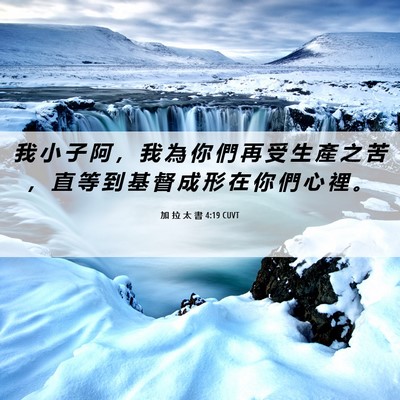 Picture 06 - 加 拉 太 書 4:19 CUVT - 我 小 子 阿 ， 我 為 你 們 再 受 生 - Bible Verse Picture