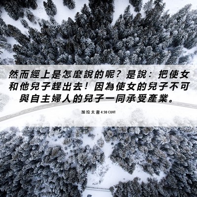 Picture 06 - 加 拉 太 書 4:30 CUVT - 然 而 經 上 是 怎 麼 說 的 呢 ？ 是 - Bible Verse Picture
