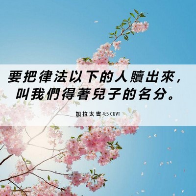 Picture 06 - 加 拉 太 書 4:5 CUVT - 要 把 律 法 以 下 的 人 贖 出 來 ， - Bible Verse Picture