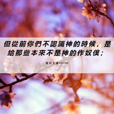 Picture 06 - 加 拉 太 書 4:8 CUVT - 但 從 前 你 們 不 認 識 神 的 時 候 - Bible Verse Picture