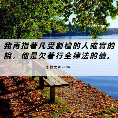 Picture 06 - 加 拉 太 書 5:3 CUVT - 我 再 指 著 凡 受 割 禮 的 人 確 實 - Bible Verse Picture