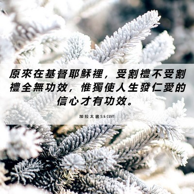 Picture 06 - 加 拉 太 書 5:6 CUVT - 原 來 在 基 督 耶 穌 裡 ， 受 割 禮 - Bible Verse Picture