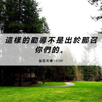 Picture 06 - 加 拉 太 書 5:8 CUVT - 這 樣 的 勸 導 不 是 出 於 那 召 你 - Bible Verse Picture