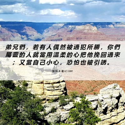 Picture 06 - 加 拉 太 書 6:1 CUVT - 弟 兄 們 ， 若 有 人 偶 然 被 過 犯 - Bible Verse Picture