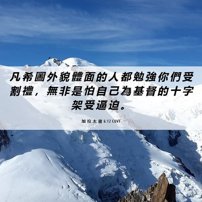 Picture 06 - 加 拉 太 書 6:12 CUVT - 凡 希 圖 外 貌 體 面 的 人 都 勉 強 - Bible Verse Picture