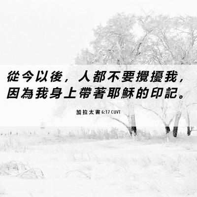 Picture 06 - 加 拉 太 書 6:17 CUVT - 從 今 以 後 ， 人 都 不 要 攪 擾 我 - Bible Verse Picture
