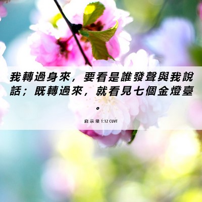 Picture 06 - 启 示 录 1:12 CUVT - 我 轉 過 身 來 ， 要 看 是 誰 發 聲 - Bible Verse Picture