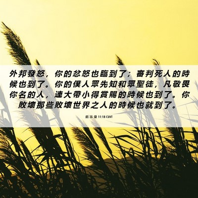 Picture 06 - 启 示 录 11:18 CUVT - 外 邦 發 怒 ， 你 的 忿 怒 也 臨 到 - Bible Verse Picture