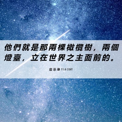Picture 06 - 启 示 录 11:4 CUVT - 他 們 就 是 那 兩 棵 橄 欖 樹 ， 兩 - Bible Verse Picture