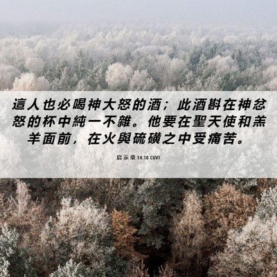 Picture 06 - 启 示 录 14:10 CUVT - 這 人 也 必 喝 神 大 怒 的 酒 ； 此 - Bible Verse Picture