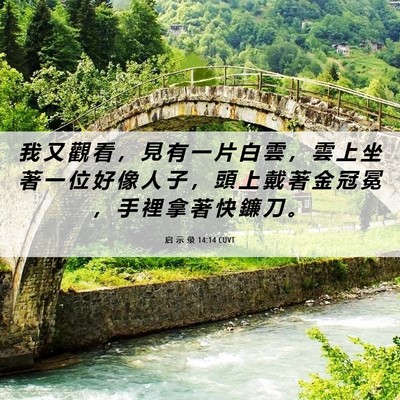 Picture 06 - 启 示 录 14:14 CUVT - 我 又 觀 看 ， 見 有 一 片 白 雲 ， - Bible Verse Picture