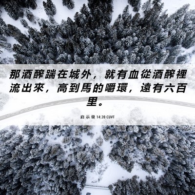 Picture 06 - 启 示 录 14:20 CUVT - 那 酒 醡 踹 在 城 外 ， 就 有 血 從 - Bible Verse Picture