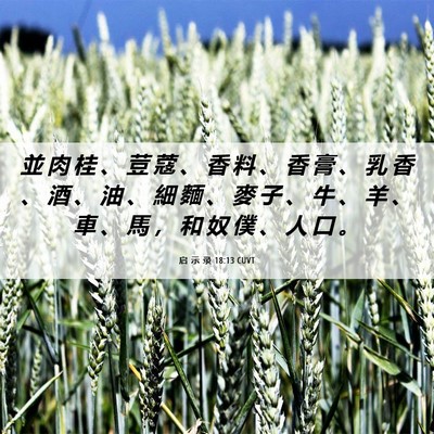 Picture 06 - 启 示 录 18:13 CUVT - 並 肉 桂 、 荳 蔻 、 香 料 、 香 膏 - Bible Verse Picture