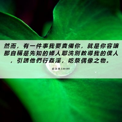 Picture 06 - 启 示 录 2:20 CUVT - 然 而 ， 有 一 件 事 我 要 責 備 你 - Bible Verse Picture