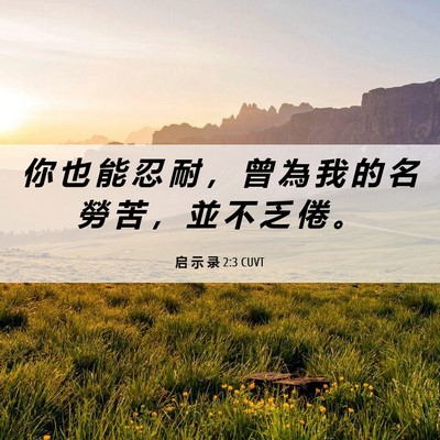 Picture 06 - 启 示 录 2:3 CUVT - 你 也 能 忍 耐 ， 曾 為 我 的 名 勞 - Bible Verse Picture