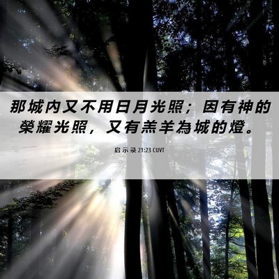 Picture 06 - 启 示 录 21:23 CUVT - 那 城 內 又 不 用 日 月 光 照 ； 因 - Bible Verse Picture