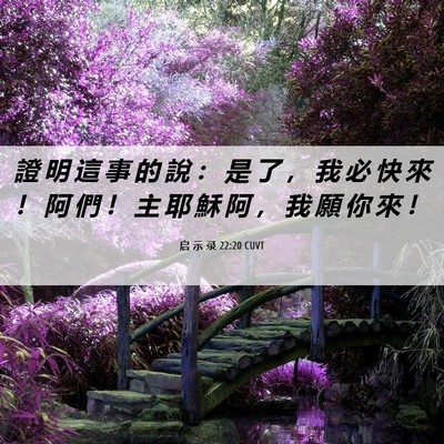 Picture 06 - 启 示 录 22:20 CUVT - 證 明 這 事 的 說 ： 是 了 ， 我 必 - Bible Verse Picture