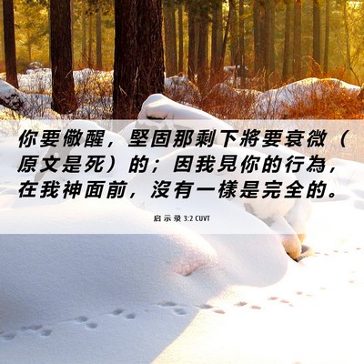 Picture 06 - 启 示 录 3:2 CUVT - 你 要 儆 醒 ， 堅 固 那 剩 下 將 要 - Bible Verse Picture