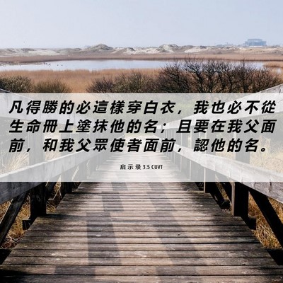 Picture 06 - 启 示 录 3:5 CUVT - 凡 得 勝 的 必 這 樣 穿 白 衣 ， 我 - Bible Verse Picture