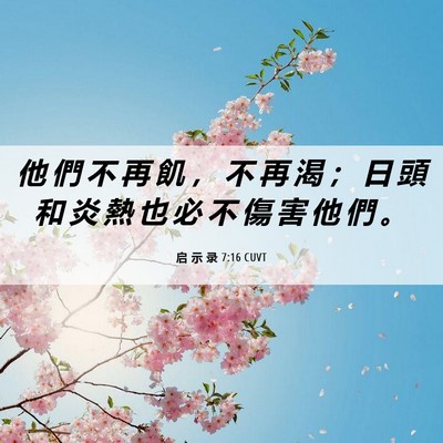 Picture 06 - 启 示 录 7:16 CUVT - 他 們 不 再 飢 ， 不 再 渴 ； 日 頭 - Bible Verse Picture