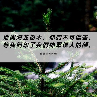 Picture 06 - 启 示 录 7:3 CUVT - 地 與 海 並 樹 木 ， 你 們 不 可 傷 - Bible Verse Picture