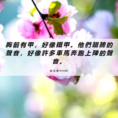 Picture 06 - 启 示 录 9:9 CUVT - 胸 前 有 甲 ， 好 像 鐵 甲 。 他 們 - Bible Verse Picture