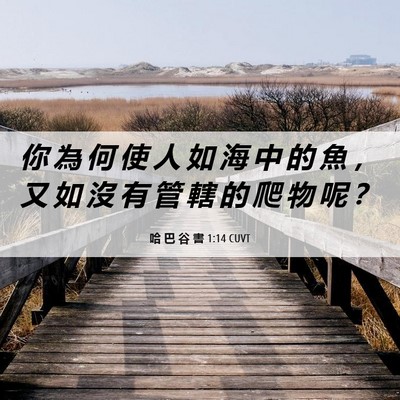Picture 06 - 哈 巴 谷 書 1:14 CUVT - 你 為 何 使 人 如 海 中 的 魚 ， 又 - Bible Verse Picture