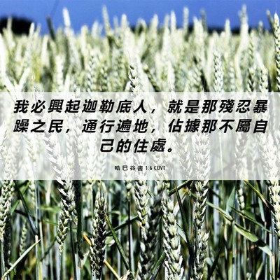 Picture 06 - 哈 巴 谷 書 1:6 CUVT - 我 必 興 起 迦 勒 底 人 ， 就 是 那 - Bible Verse Picture