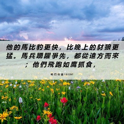 Picture 06 - 哈 巴 谷 書 1:8 CUVT - 他 的 馬 比 豹 更 快 ， 比 晚 上 的 - Bible Verse Picture