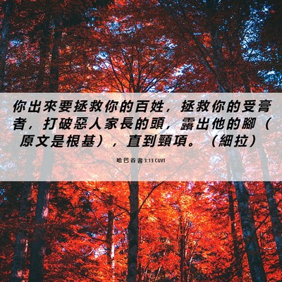 Picture 06 - 哈 巴 谷 書 3:13 CUVT - 你 出 來 要 拯 救 你 的 百 姓 ， 拯 - Bible Verse Picture