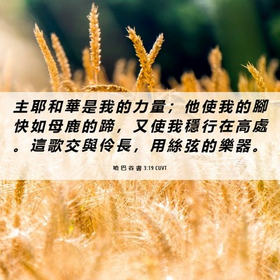 Picture 06 - 哈 巴 谷 書 3:19 CUVT - 主 耶 和 華 是 我 的 力 量 ； 他 使 - Bible Verse Picture