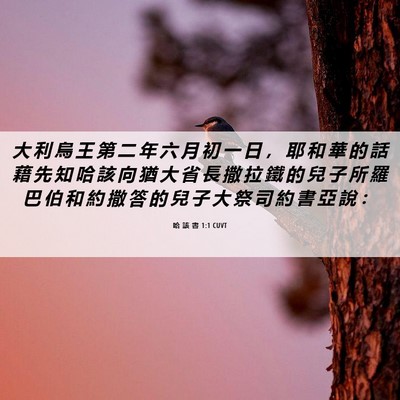 Picture 06 - 哈 該 書 1:1 CUVT - 大 利 烏 王 第 二 年 六 月 初 一 日 - Bible Verse Picture