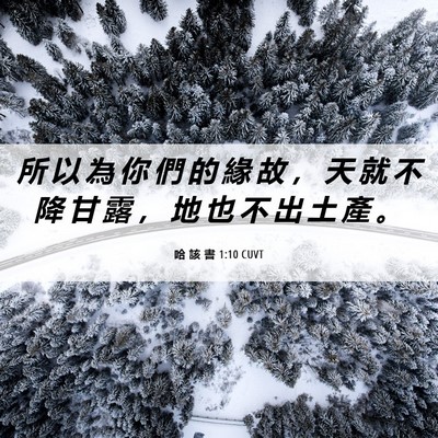 Picture 06 - 哈 該 書 1:10 CUVT - 所 以 為 你 們 的 緣 故 ， 天 就 不 - Bible Verse Picture