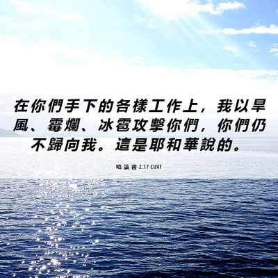 Picture 06 - 哈 該 書 2:17 CUVT - 在 你 們 手 下 的 各 樣 工 作 上 ， - Bible Verse Picture