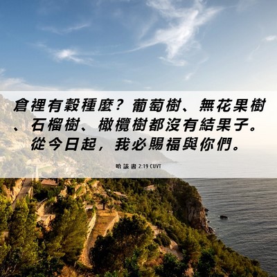 Picture 06 - 哈 該 書 2:19 CUVT - 倉 裡 有 穀 種 麼 ？ 葡 萄 樹 、 無 - Bible Verse Picture