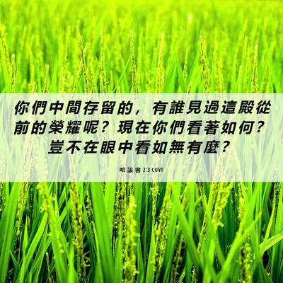 Picture 06 - 哈 該 書 2:3 CUVT - 你 們 中 間 存 留 的 ， 有 誰 見 過 - Bible Verse Picture