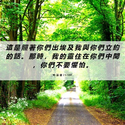 Picture 06 - 哈 該 書 2:5 CUVT - 這 是 照 著 你 們 出 埃 及 我 與 你 - Bible Verse Picture