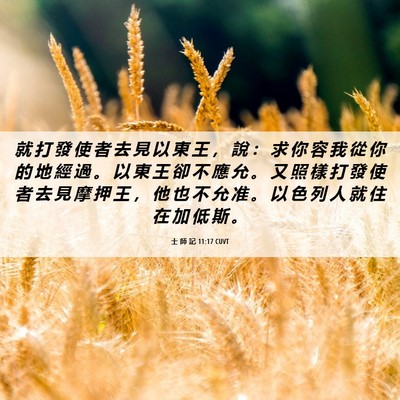 Picture 06 - 士 師 記 11:17 CUVT - 就 打 發 使 者 去 見 以 東 王 ， 說 - Bible Verse Picture