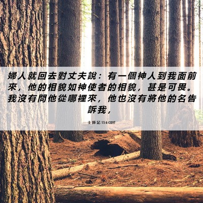 Picture 06 - 士 師 記 13:6 CUVT - 婦 人 就 回 去 對 丈 夫 說 ： 有 一 - Bible Verse Picture